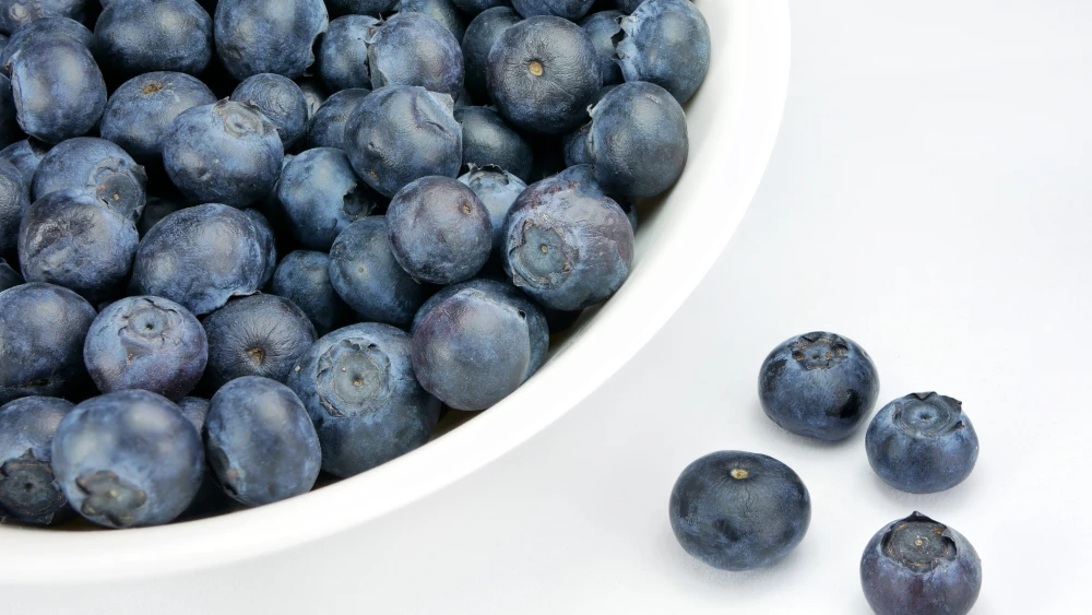 Blueberries. Credit: Petar Milošević via Wikimedia Commons.