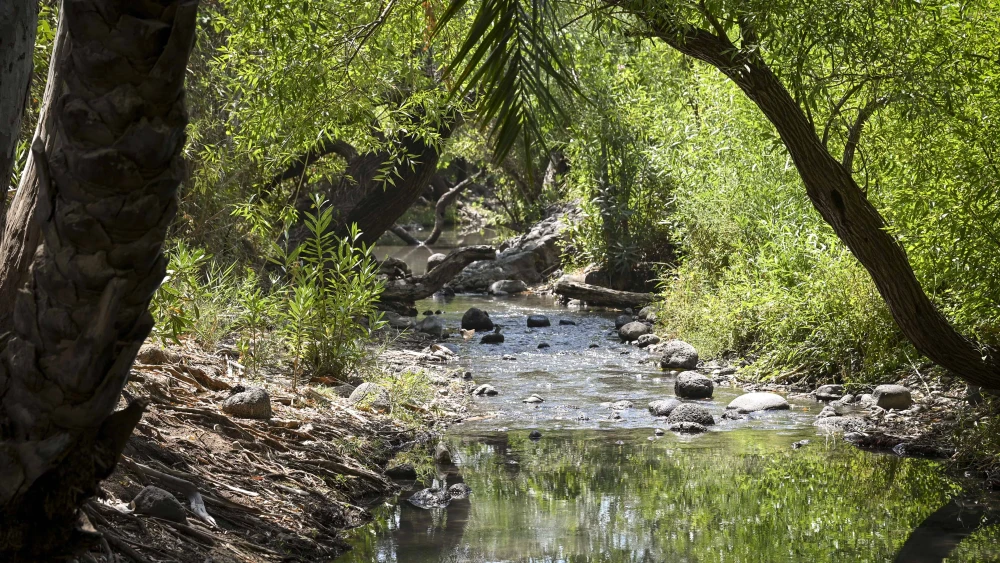Israelis enjoy the Majrase Nature Reserve near the Sea of Galilee, northern Israel, July 26, 2025. Photo by Michael Giladi/Flash90 *** Local Caption *** שמורת טבע מג'רסה טבע כנרת מים לטייל טיול נחל