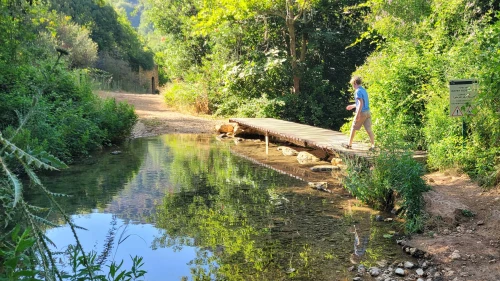 A boy explores the Ein Zin spring in the Upper Galilee on June 21, 2025. Photo by Canaan Lidor.