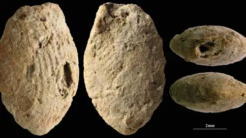 A butterfly clay bead from the Final Natufian period in Eynan-Mallaha (Upper Jordan Valley), colored red with ochre and marked with the fingerprints of the child (≈10 years old) who modeled it 12,000 years ago. Credit: Laurent Davin