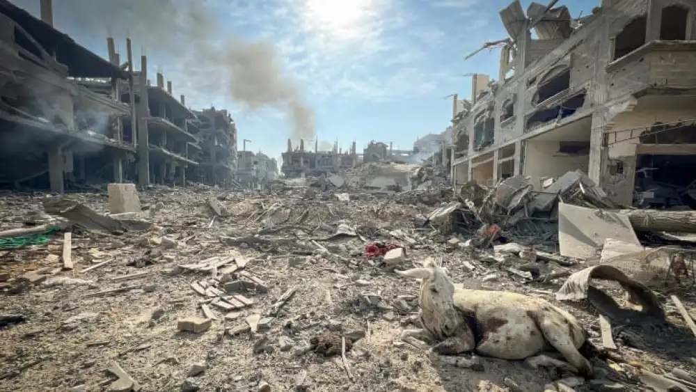 Gaza Wreckage