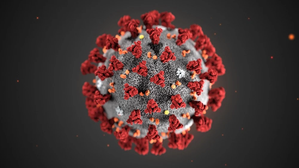 This illustration, created at the Centers for Disease Control and Prevention (CDC), reveals ultrastructural morphology exhibited by coronaviruses. Credit: Wikimedia Commons.