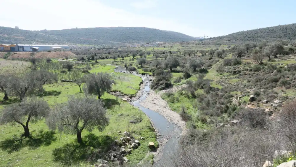 Sewage flowing from a local Palestinian-controlled aluminum factory near Ramallah. Credit: Emanuel Maimon.