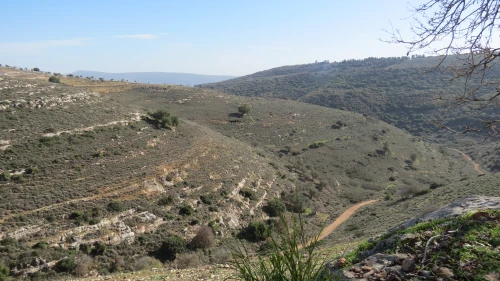 Yodfat (Credit: Rimonah Traub)