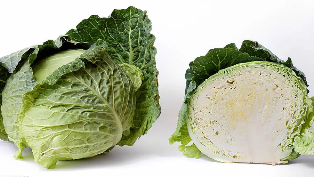 A whole cabbage and a cross-section. Credit: Wikimedia Commons.