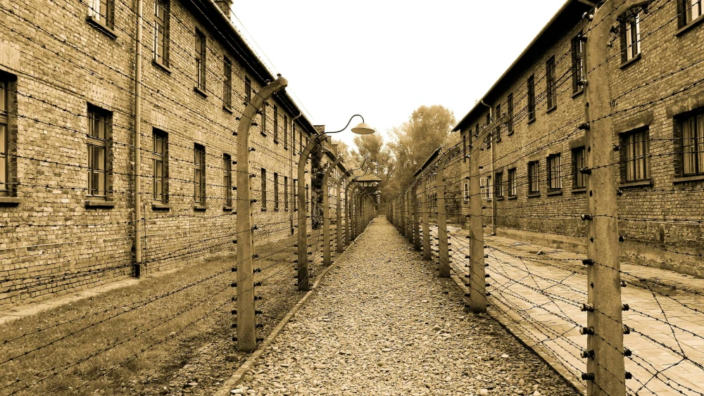 Auschwitz Sepia
