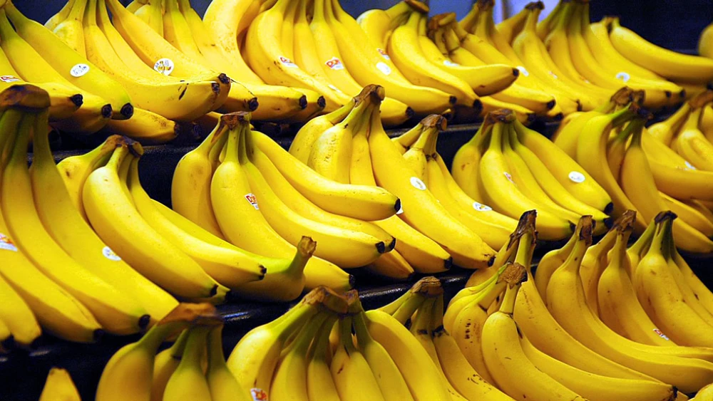 Bananas. Credit: Steve Hopson via Wikimedia Commons.