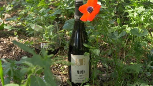 Jezreel Valley's Adumim wine. Credit: The Israel Innovation Fund.