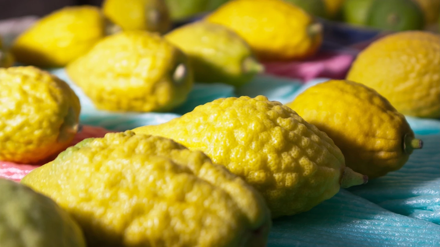 From Yemen to Bukhara The many ways Jews celebrate Sukkot