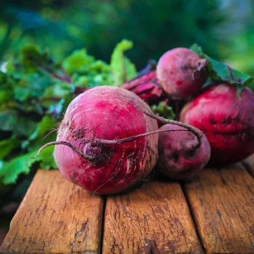 Beets: A Passover staple. Credit: Pixabay.
