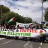Pro-Palestinian Protesters in Dublin
