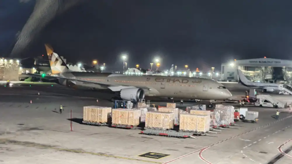 An Etihad cargo plane from the UAE, delivering aid to the Palestinian Authority arrives in Israel on June 9, 2020. Source: Twitter, Yuval Rotem.