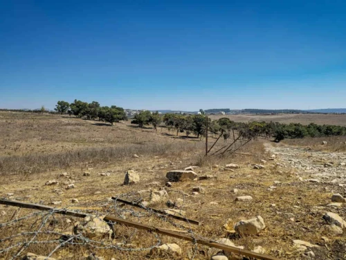Fences in Jezreel Valley