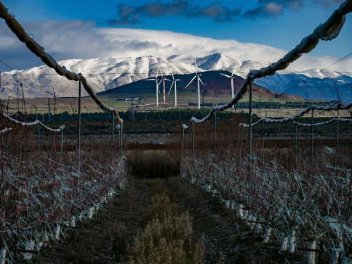 Mount Hermon