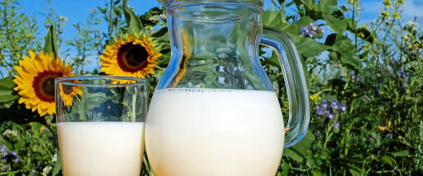 Milk. Credit: Pixabay.
