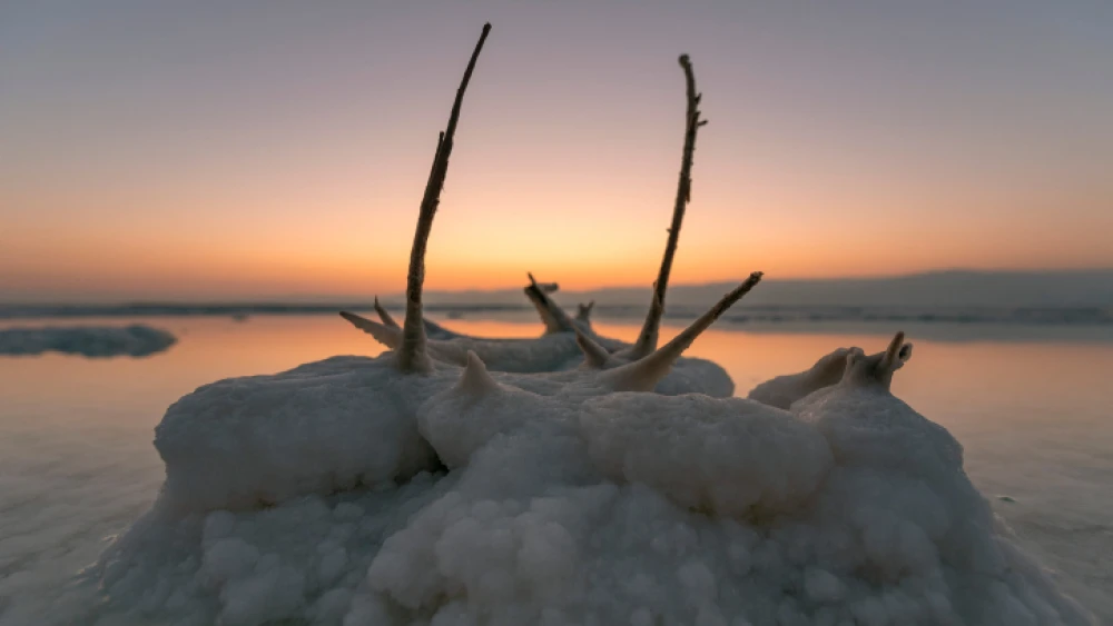 View of salt formations on the Dead Sea shore, July 7, 2020. Photo by Mila Aviv/Flash90.