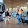 Passengers arrive at Ben-Gurion International Airport near Tel Aviv on Sept. 2, 2024. Photo by Yossi Zeliger/TPS-IL.