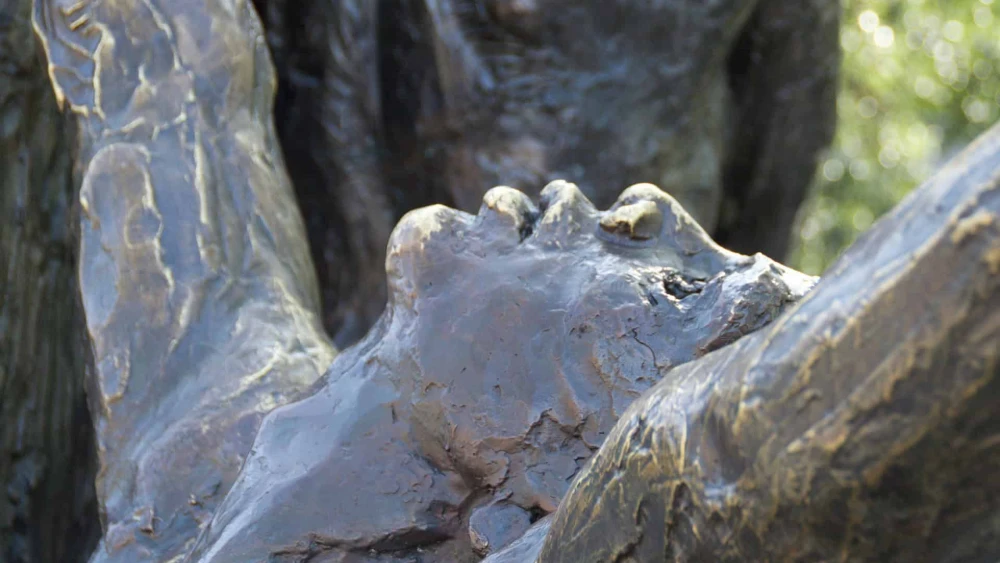 Statue, Racism, Colonialism