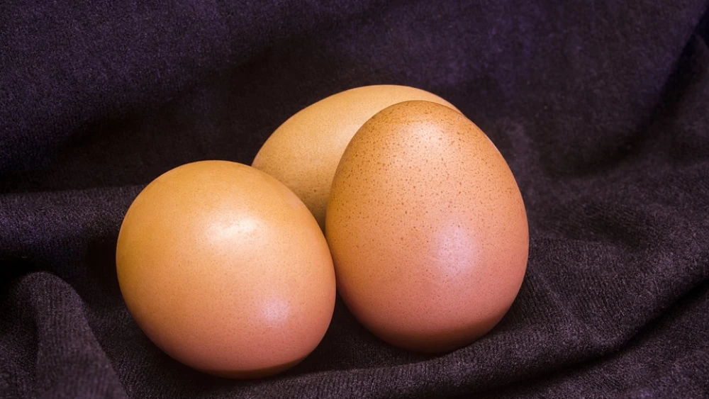 Brown Eggs