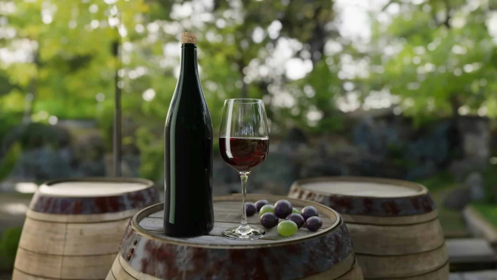 Illustrative image provided by the Israeli Wine Producers Association. Credit: Courtesy.