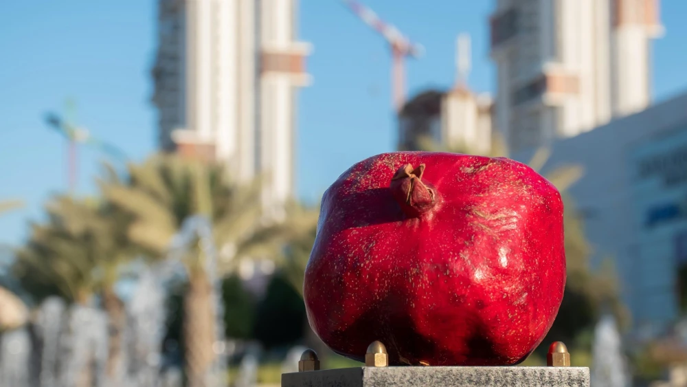 Pomegranate in Israel. Credit: Ri_Ya/Pixabay.