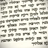 Torah