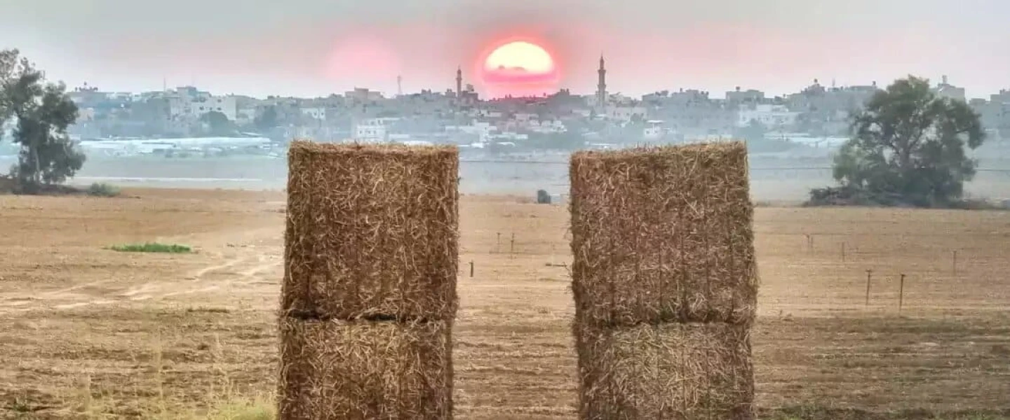 A field at Kibbutz Nir Oz against the backdrop of the sun setting on Gaza. Photo by Shahar Vahab.