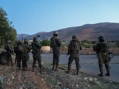 IDF