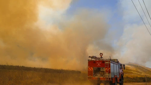 A view of a large forest fire near Kiryat Tivon, east of Haifa, June 1, 2020. Photo by Yossi Zamir/Flash90.