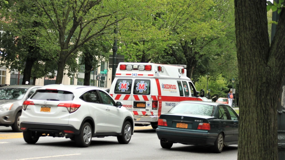 Midwood section of Brooklyn, N.Y. Credit: Lennox Wright/Shutterstock.