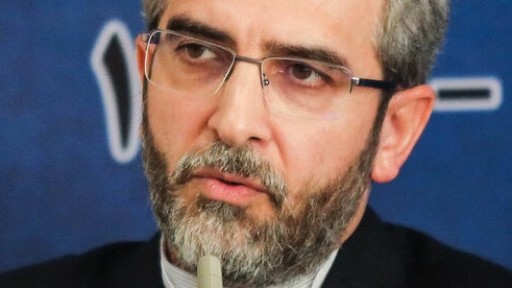 Interim Iranian Foreign Minister Ali Bagheri Kani. Photo by Maryam Kamyab via Wikimedia Commons.
