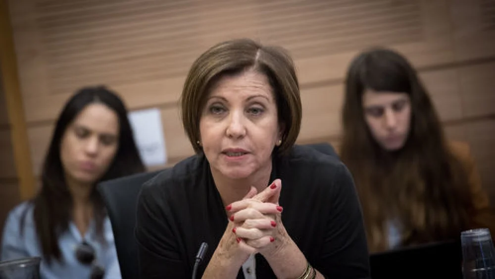 Meretz Party leader Member of Knesset Zehava Gal-On at a Knesset Finance Committee meeting regarding compensation for those who suffered from the recent fires in Israel, Nov. 28, 2017. Credit: Miriam Alster/Flash90.