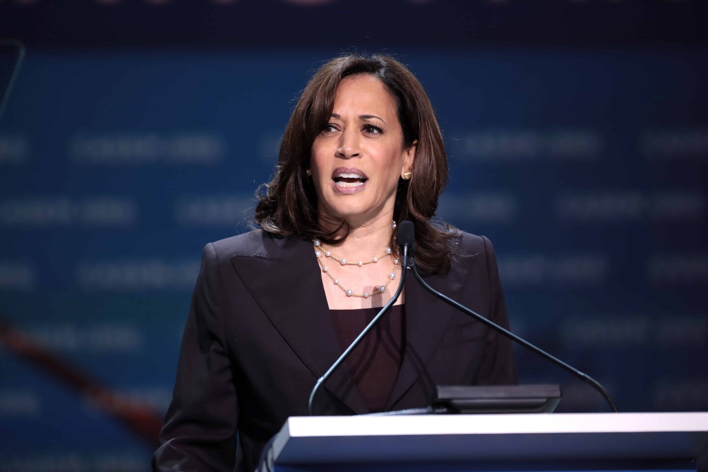 Kamala Harris speaks at a function in California in 2019. Photo by Gage Skidmore/Flickr.