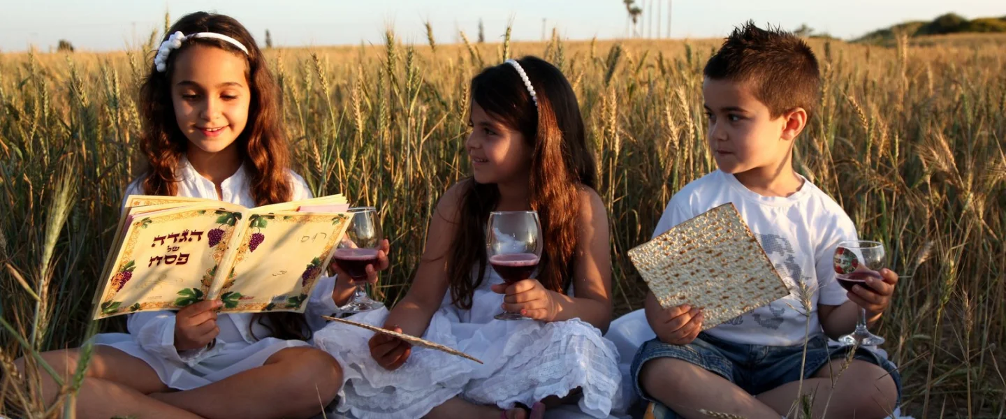 Three children simulate the Passover seder in a field in southern Israel on April 10, 2014. Photo by Edi Israel/Flash90.