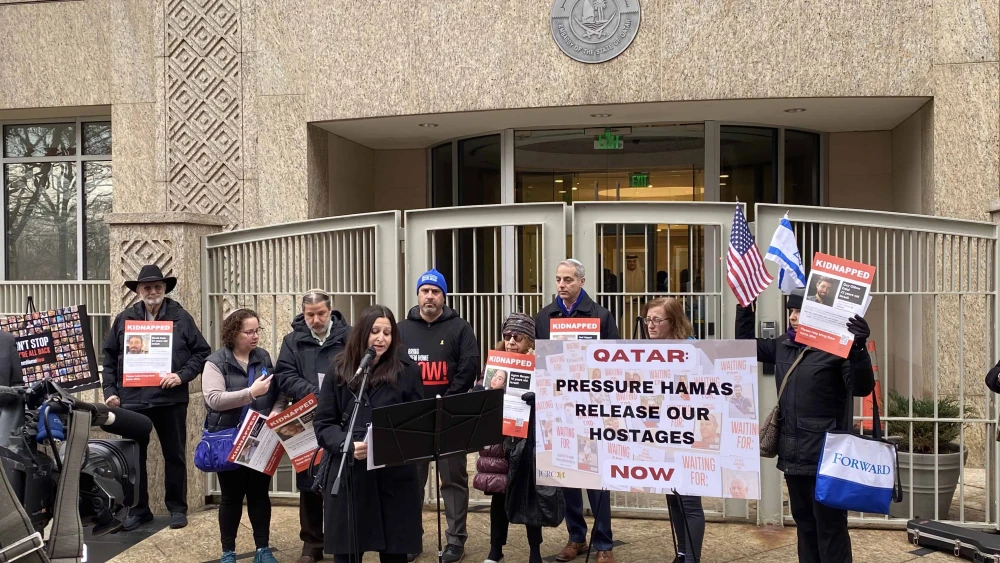 Qatari Rally in Washington, D.C.