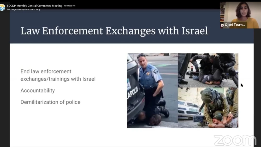 A screenshot of a recent panel discussion hosted by the San Diego County Democratic Party (SDCDP) Central Committee, Sept. 21, 2021. Source: Screenshot.