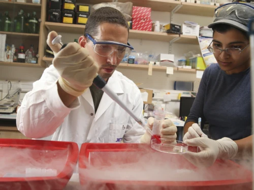 Dr. Ronny Helman and his team conduct research in the search for a cure for diabetes, at Hadassah Medical Center in Jerusalem's Ein Kerem on Aug. 12, 2013. Photo by Nati Shohat/Flash90.