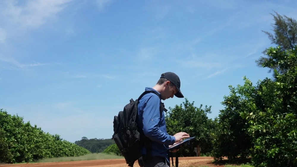 The analysis team in Israel utilizes algorithms that take the examples found in the data and teaches the machines that certain symptoms show that a tree might be suffering from water stress, a certain type of disease or any other ailment that could harm food production, thus negatively affect the farmer’s crop output. Credit: SeeTree.