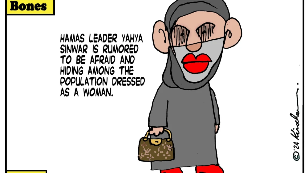 Credit: Yaakov (DryBones) Kirschen.