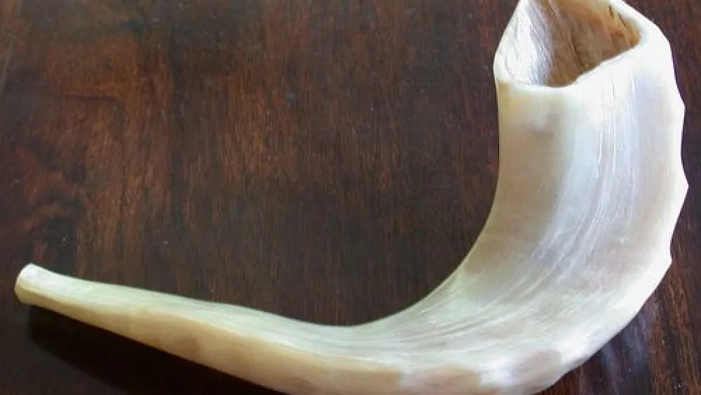 Shofars are sounded on the Jewish holiday of Rosh Hashanah. Credit: Wikimedia Commons.