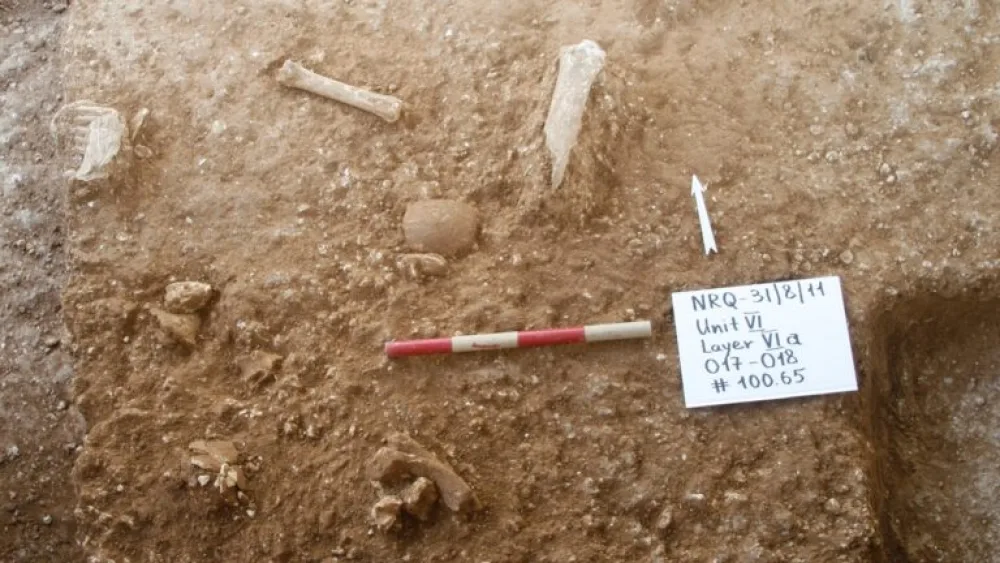 Nesher-Ramla research team