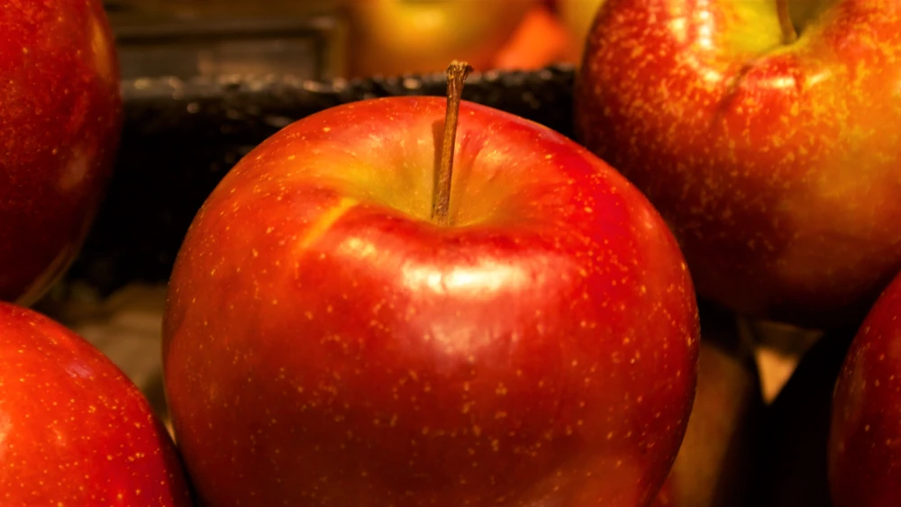 McIntosh apples. Credit: Wikimedia Commons.