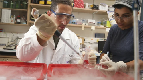 Dr. Ronny Helman and his team conduct research in the search for a cure for diabetes, at Hadassah Medical Center in Jerusalem's Ein Kerem on Aug. 12, 2013. Photo by Nati Shohat/Flash90.