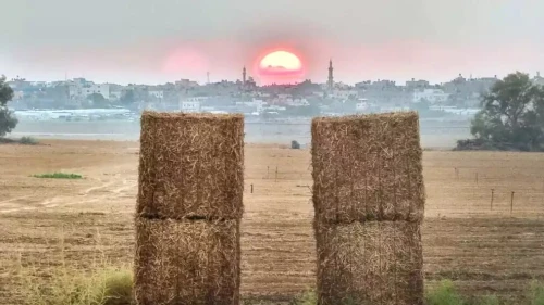 A field at Kibbutz Nir Oz against the backdrop of the sun setting on Gaza. Photo by Shahar Vahab.