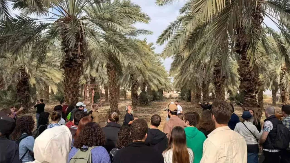 The outbreak of the war changed the association's plan. Credit: Courtesy.