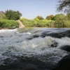 The Jordan River near Kfar Blum, in the Upper Galilee, April 8, 2019. Photo by Yossi Zamir/Flash90.
