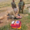 Rescuers Without Borders