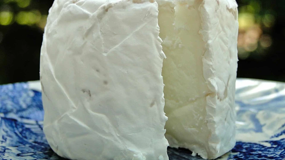 Goat Cheese