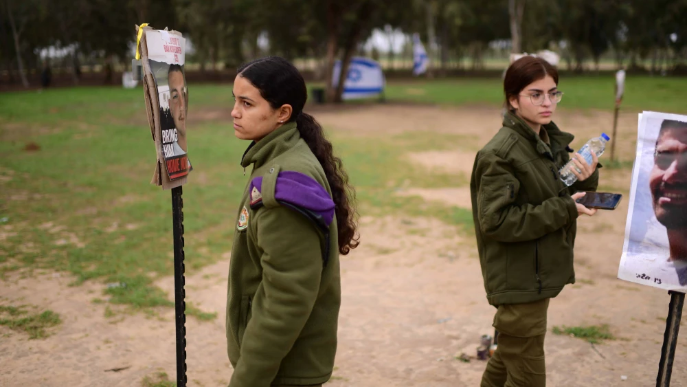 Nova Music Festival Site