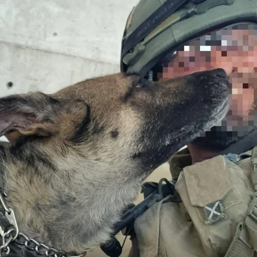 Officer "O" on duty in Gaza with a dog, Sept. 2025. Credit: Israel Police.